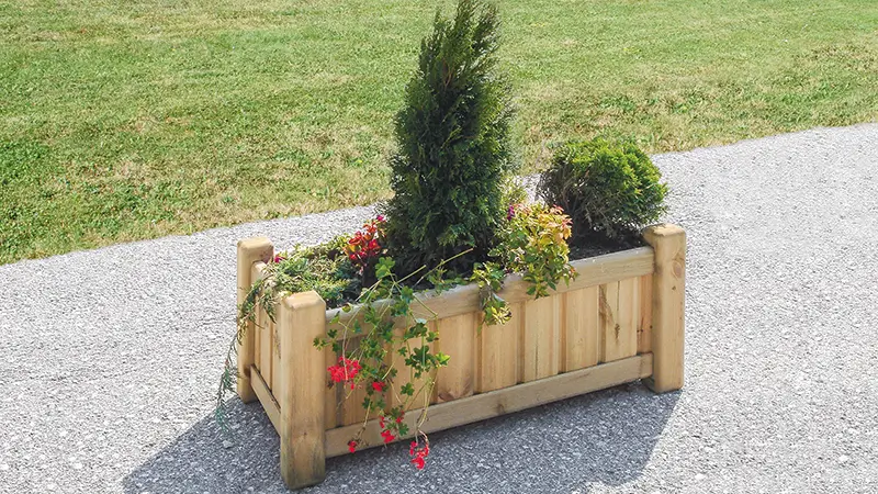 Rechteckiger Pflanzbehälter aus Holz mit verschiedenen Pflanzen, darunter ein hoher Nadelbaum und blühende rote Blumen, steht auf einem Kiesweg vor einer Rasenfläche.