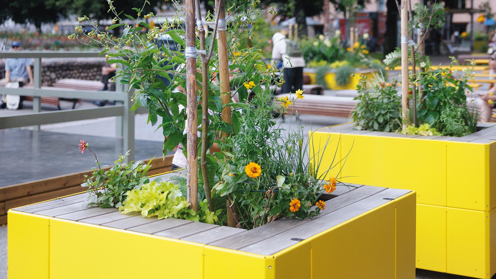 Durch mehr Stadtgrün urbane Kühlung erreichen