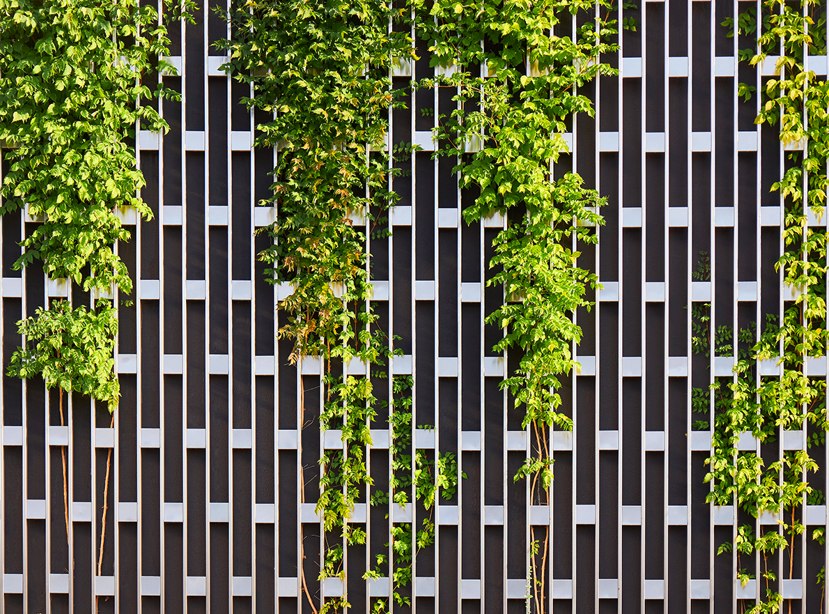 Pflege und Wartung von Grünpflanzen in der Stadt