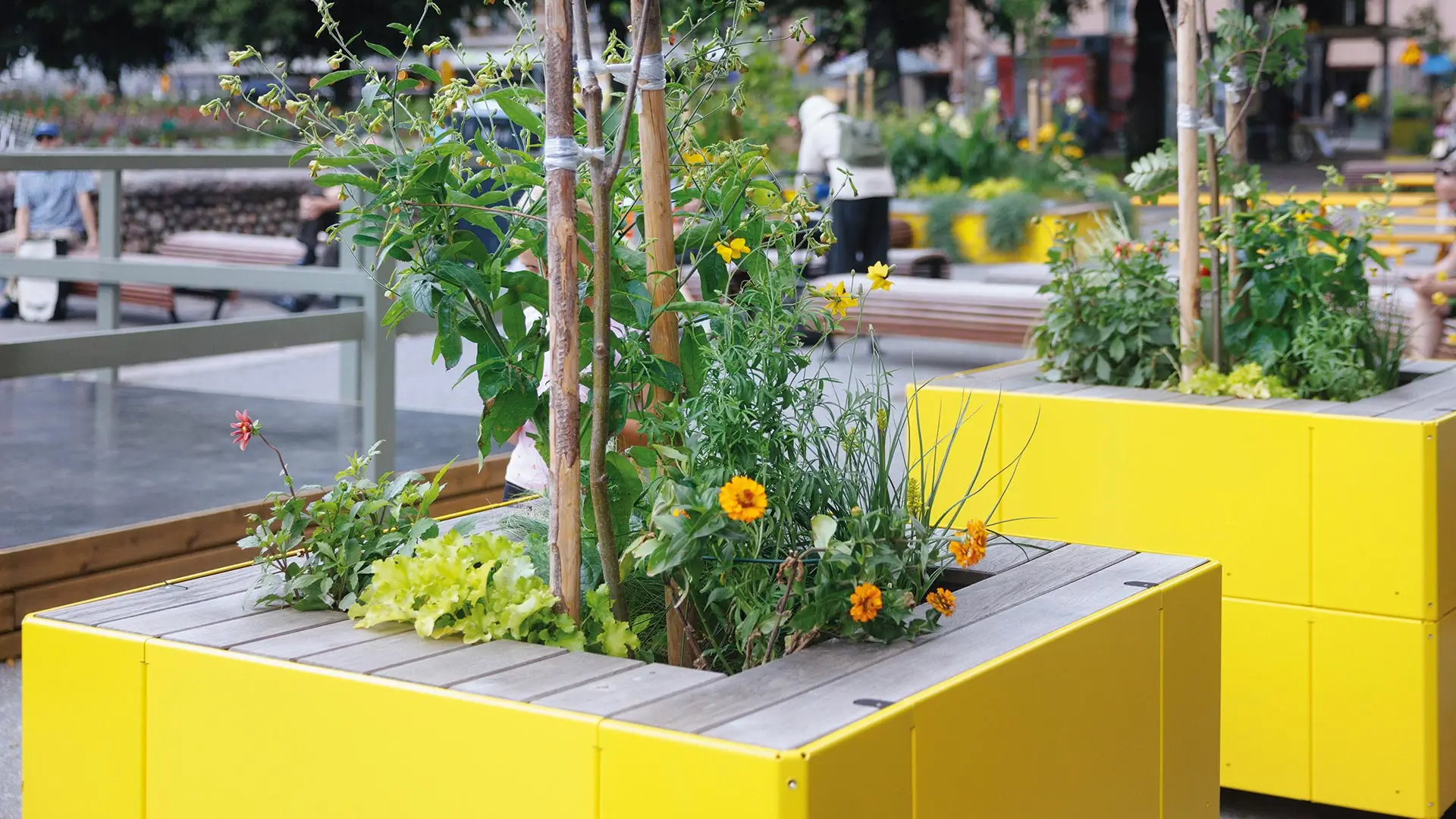Durch mehr Stadtgrün urbane Kühlung erreichen
