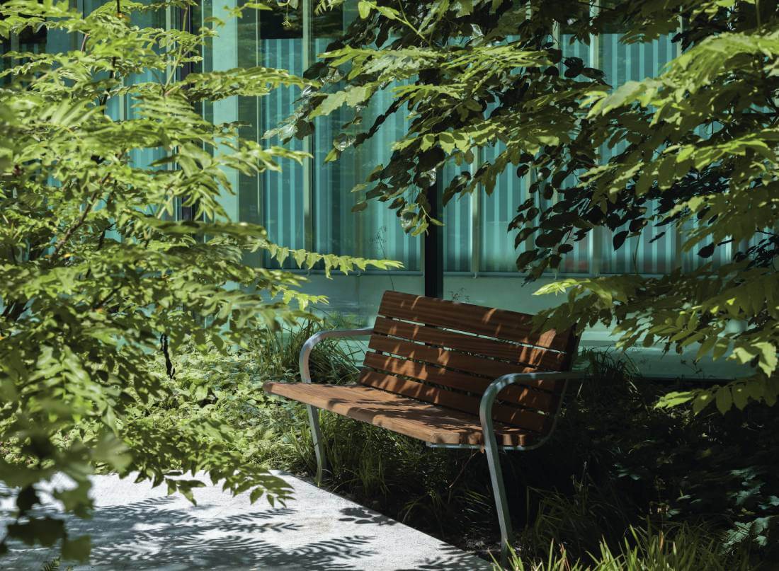 EIne Seniorenbank sthet in einem Park im Schatten