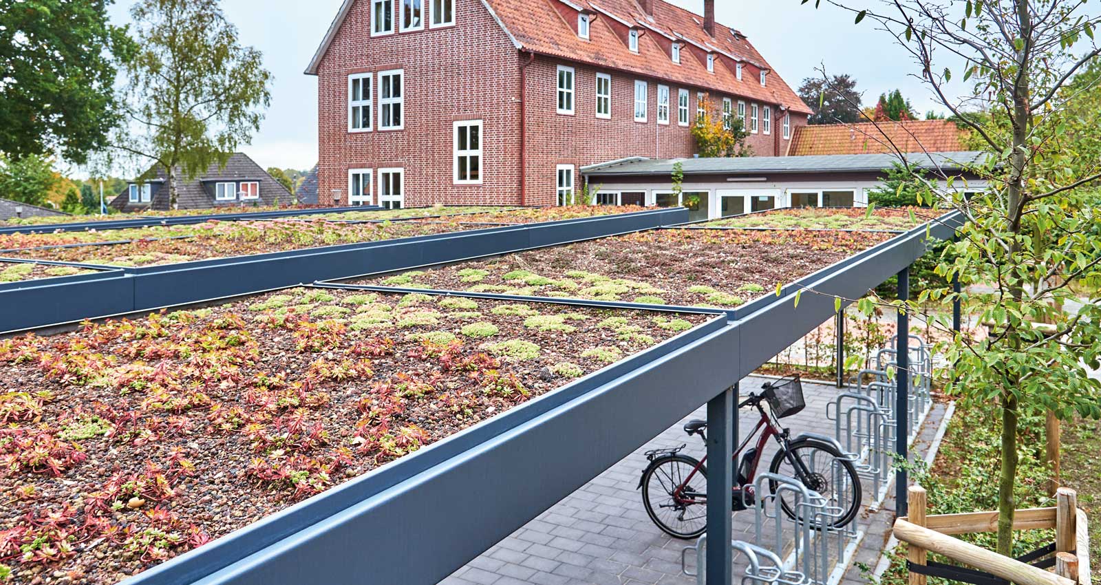 Dachbegrünung auf Überdachung LUNA in RAL 7016 anthrazitgrau mit Farhradparkern darunter