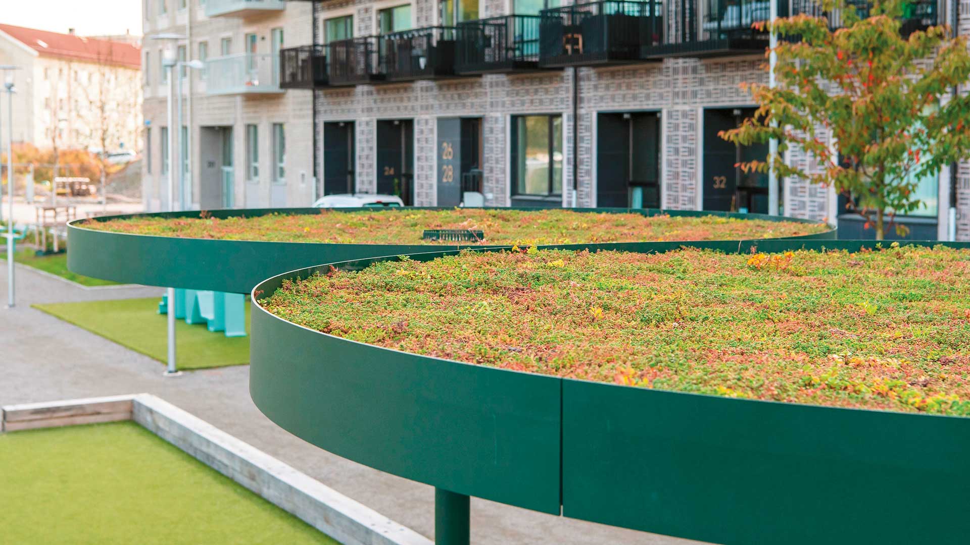 Dachbegrünung auf PIN GREEN