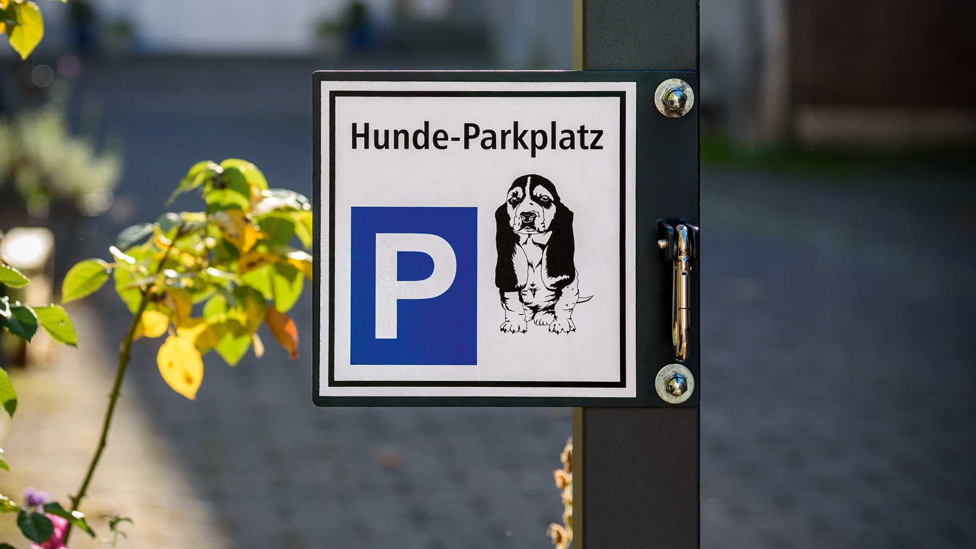 Hundeparkplatz BEAGLE in Bad Soden-Salmünster Hundeparkplatz BEAGLE in Bad Soden-Salmünster