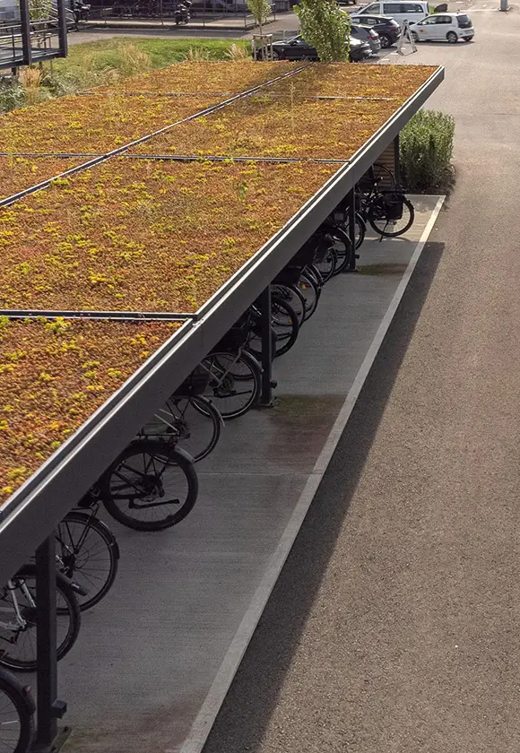 Basismodell LUNA GREEN: Ab 3 Wochen lieferbar