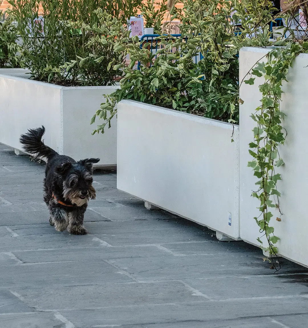 Nachhaltig möblieren mit dem Pflanzbehälter ANDROMEDA