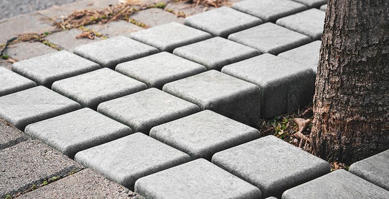 Baumschutzrost aus quadratischen Betonplatten um einen Baumstamm in einer gepflasterten Fläche