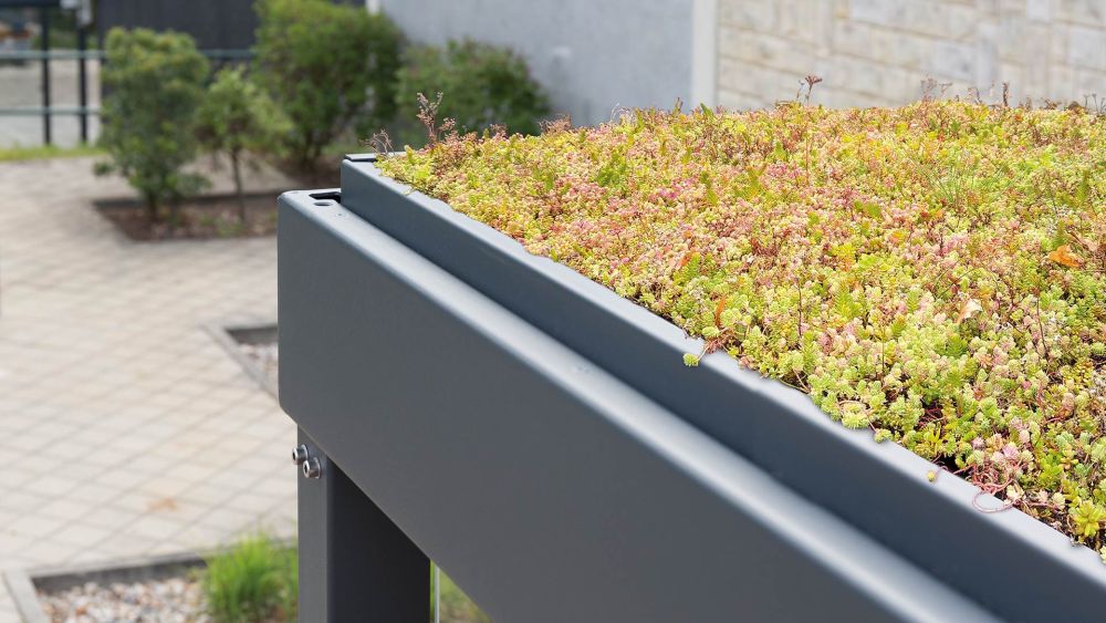Dachbegrünung